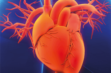Medicina cardiovascular